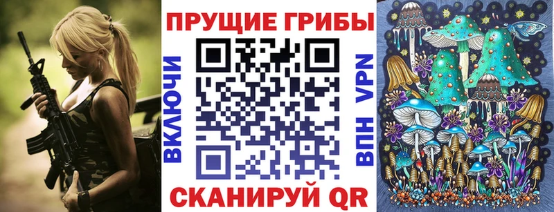 ссылка на мегу ссылки Ершов Псилоцибиновые грибы Psilocybine cubensis