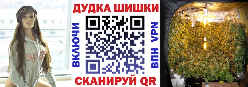 Шишки марихуана MAZAR Ершов